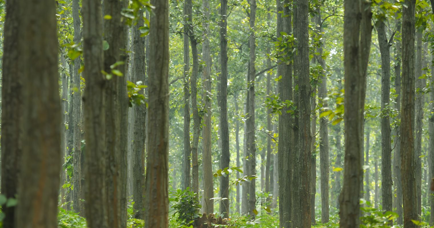 Where Adventure Meets Serenity