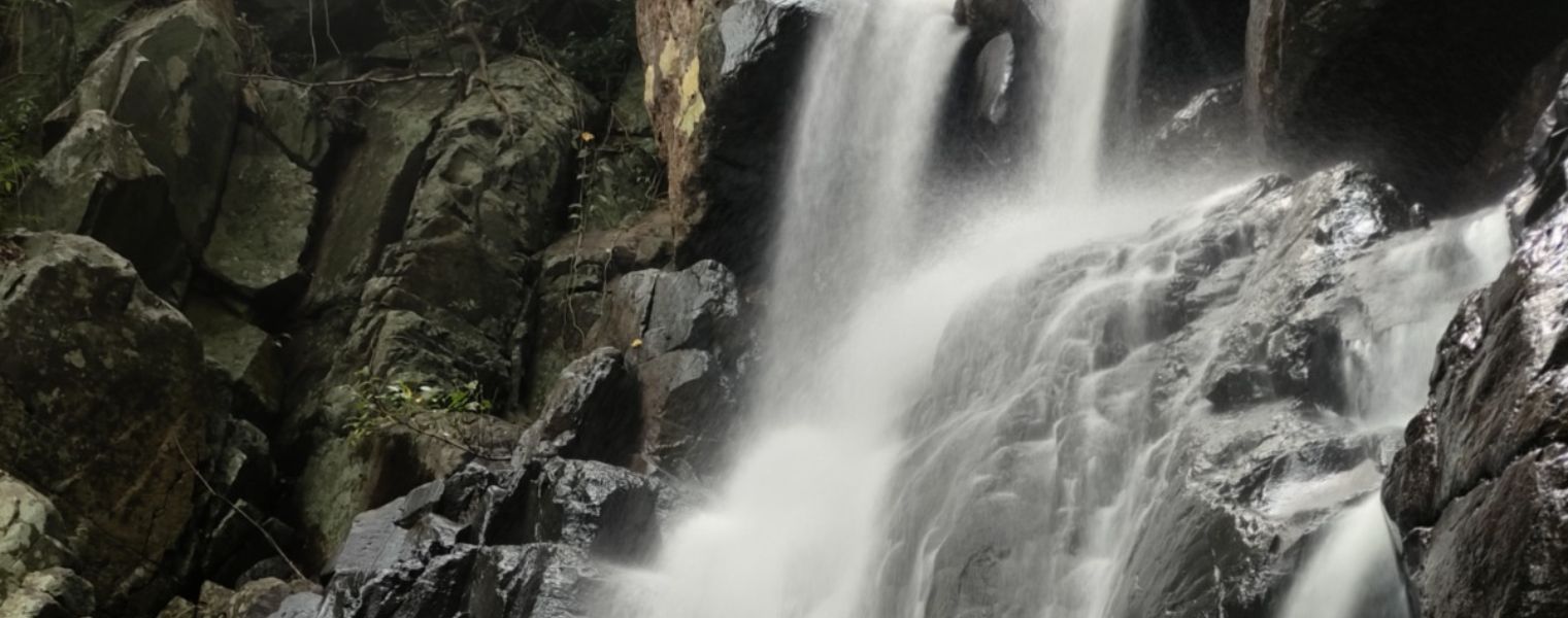 A Day  in  the  Life  at  Similipal  Jungle Resort 